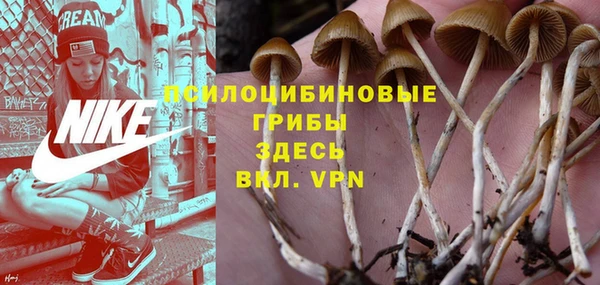 кокс Алексин