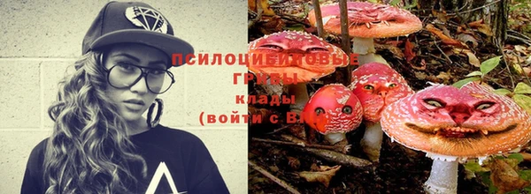кокс Алексин